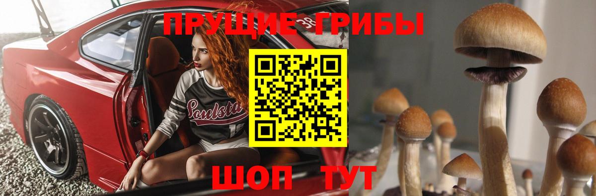 Клинцы  даркнет сайт  Вход с VPN  Псилоцибиновые грибы ЛСД 